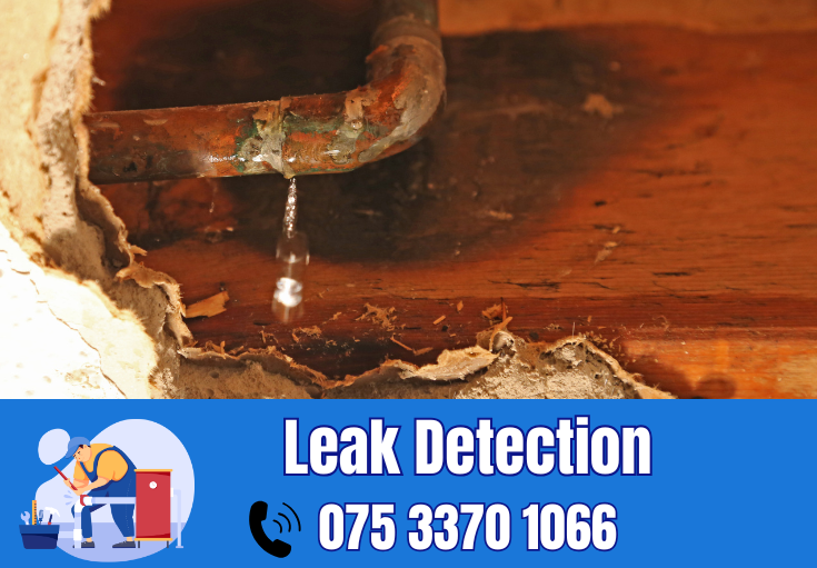 leak detection Cuxton
