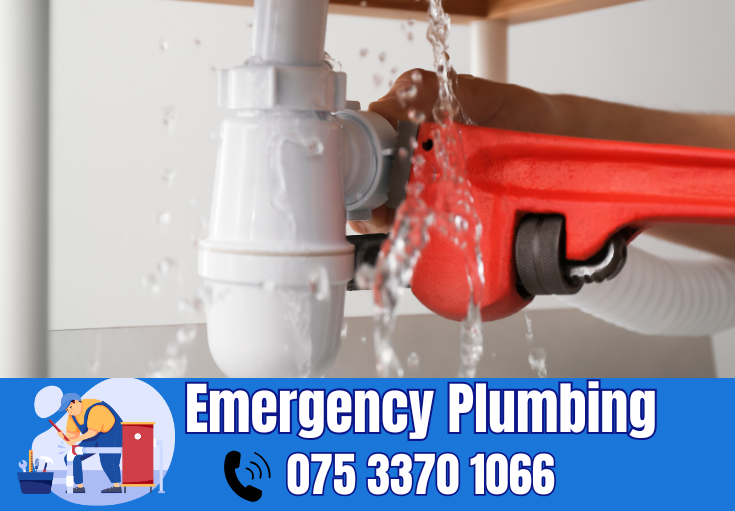  plumber Halling