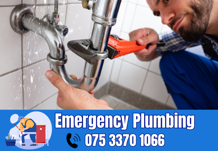  plumber Snodland