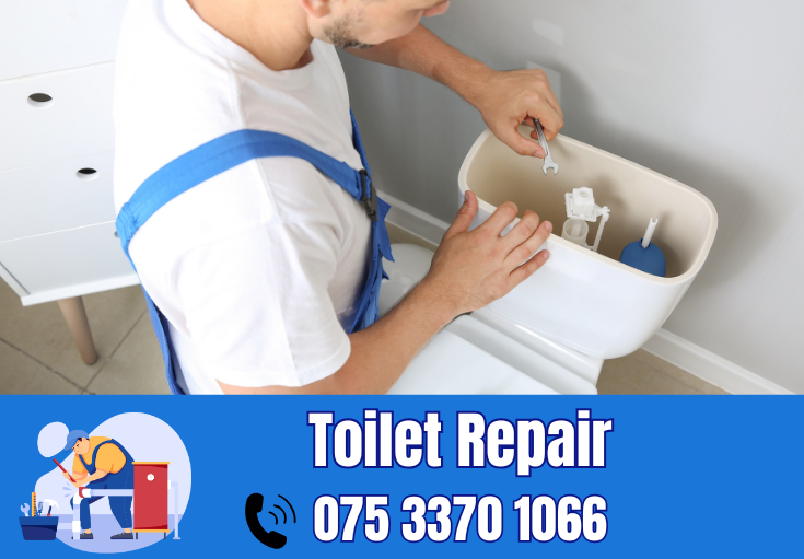 toilet repair Cuxton
